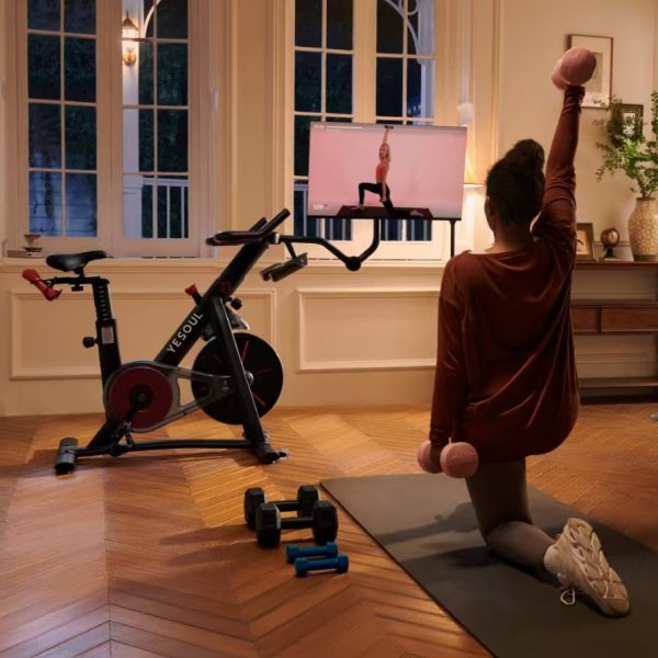 Speedbike Detaillierte Einführung in das Fitnessgerät