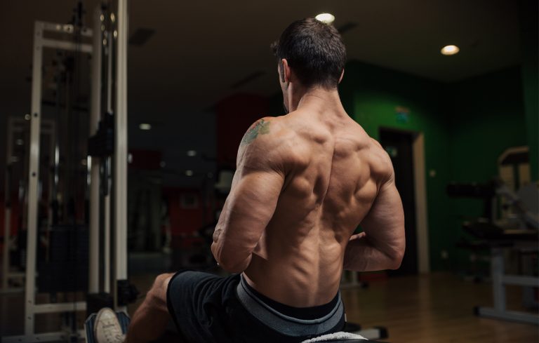 Wie man ein Rudergerät kauft